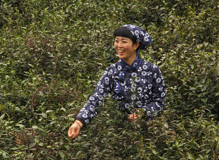 91影视 热门推荐